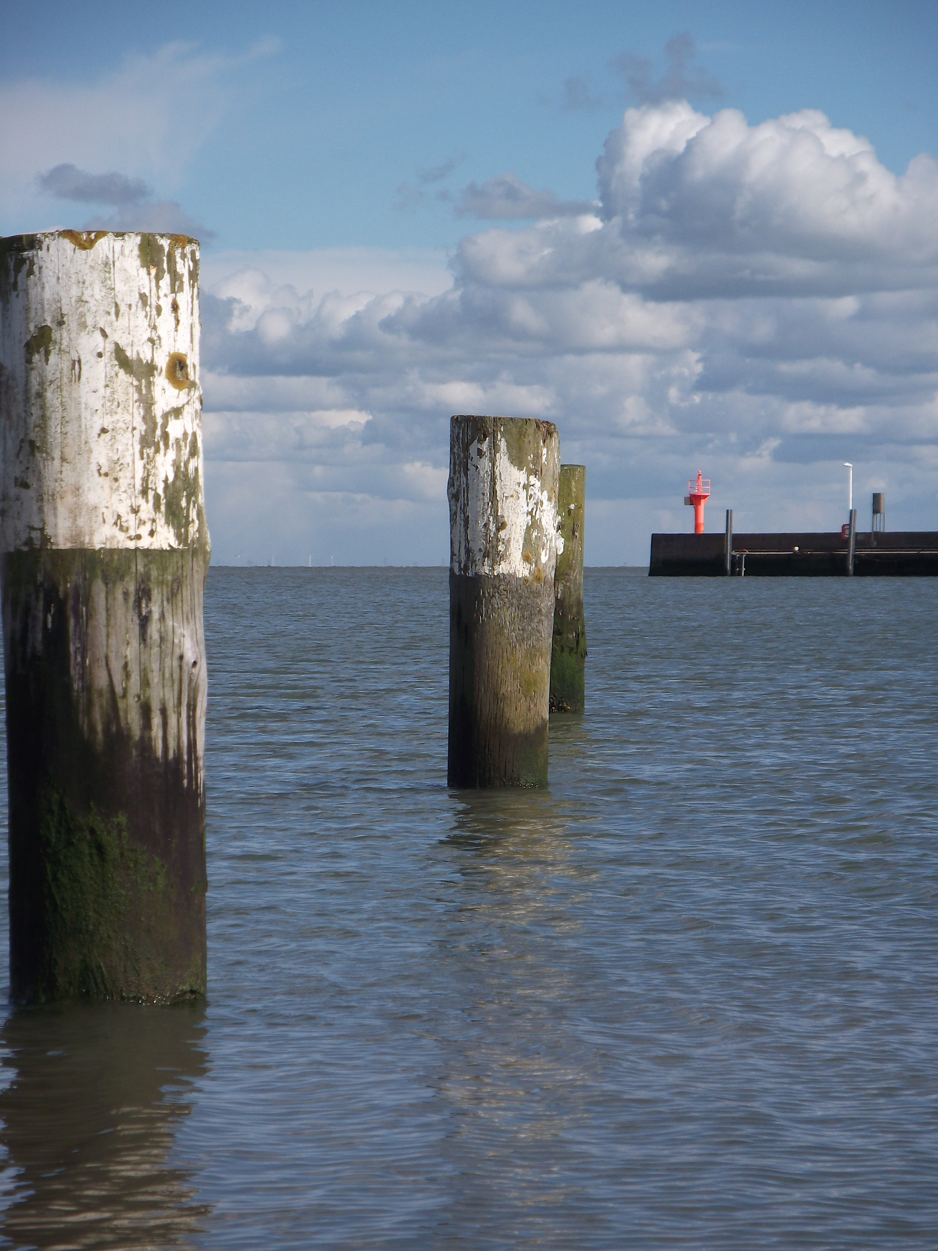 Wilhelmshaven - Dalben im Nassauhafen